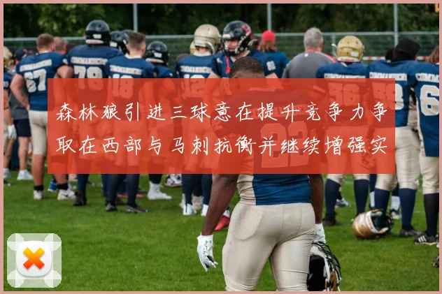 森林狼引进三球意在提升竞争力争取在西部与马刺抗衡并继续增强实力